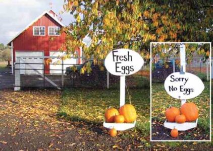 Country Lore: 